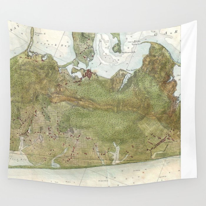 Vintage Map of The Hamptons (1857) Wall Tapestry