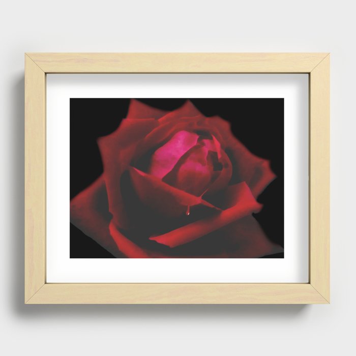 Red Rose Flower Floral Blood Drop Gothic Decor Art A594 Recessed Framed Print