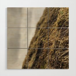 Water and Earth Wood Wall Art