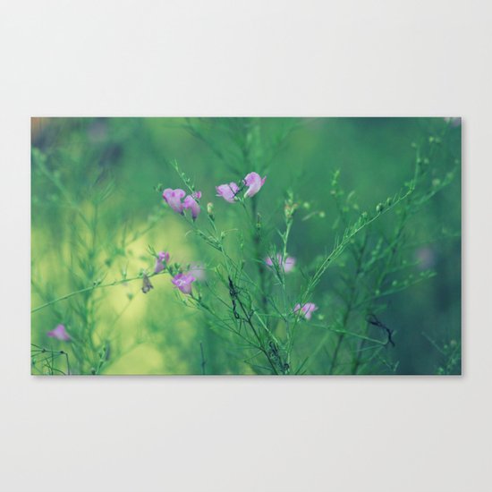 Beautiful Mess Canvas Print