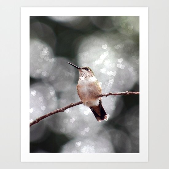 Hummingbird LOVE Art Print