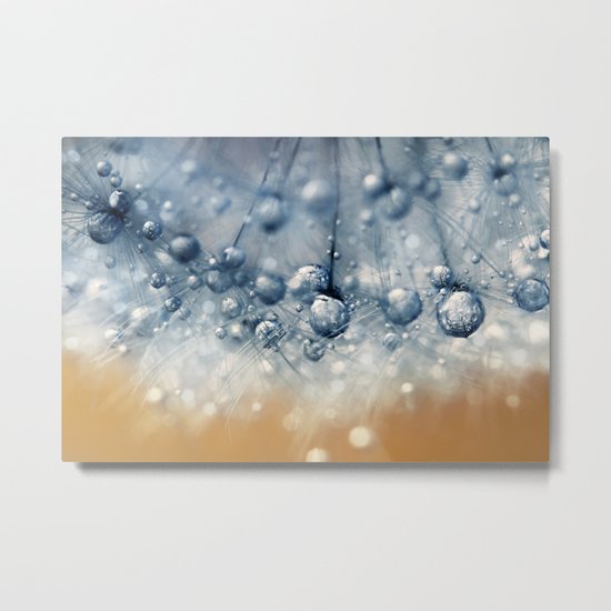 Sea Blue Dandy Metal Print