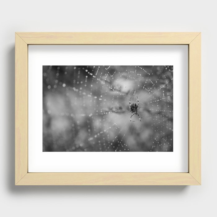 spider Recessed Framed Print