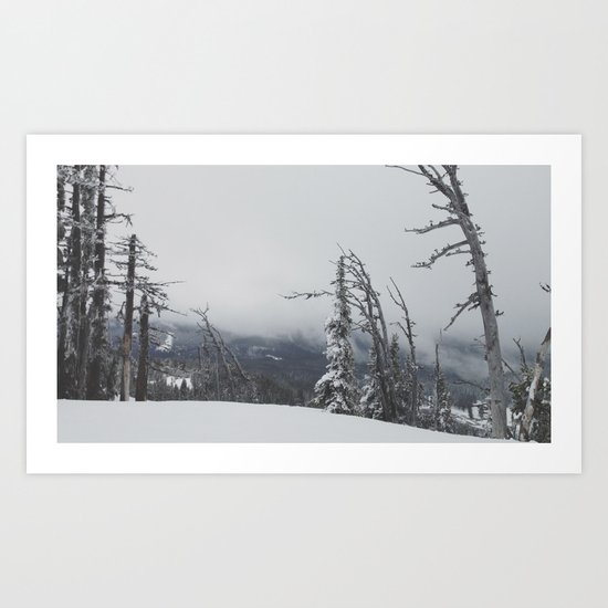Where The Trees Die Art Print