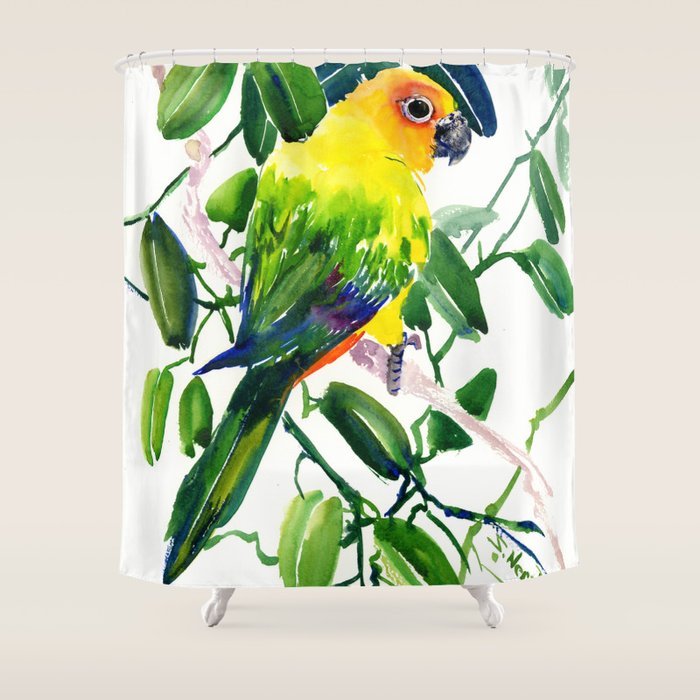 Sun Conure Parakeet, jungle tropical colors, parrot yellow deep green