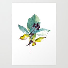 blackberry and leaves Art Print