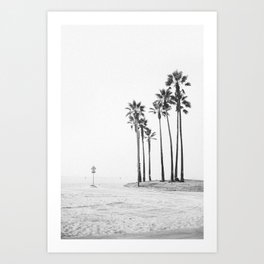 palm trees xci / venice beach, california Art Print