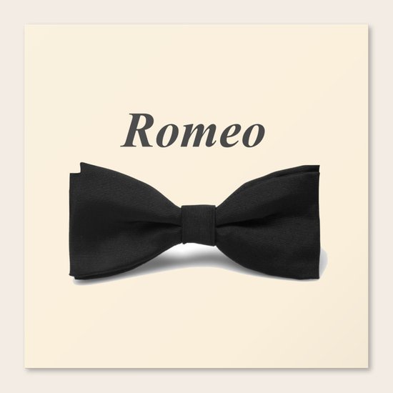 Romeo Canvas Print