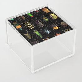Insects Beetles Collage Acrylic Box