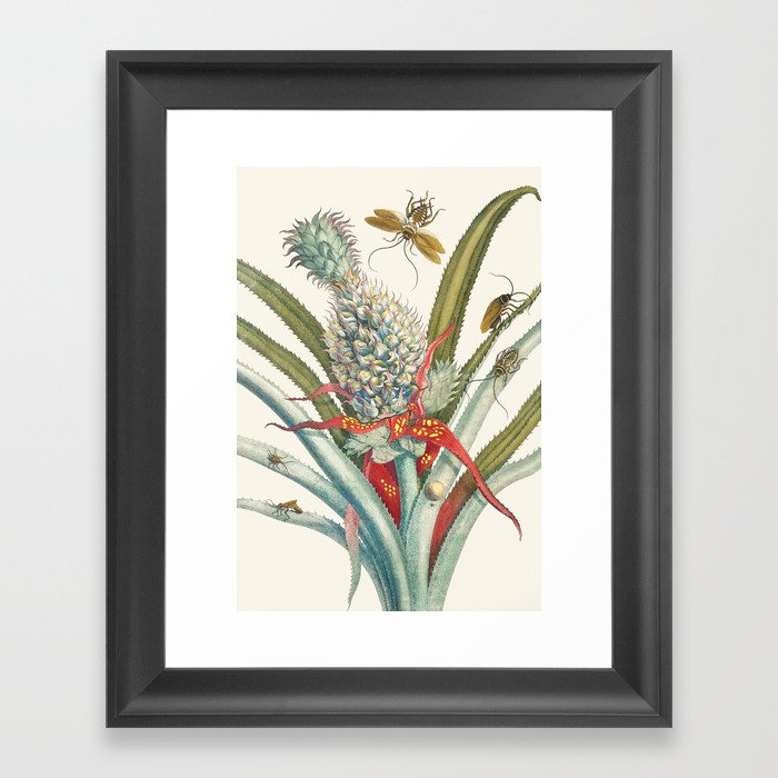 Vintage Pineapple Botanical Print Framed Art Print