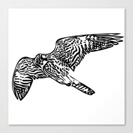 Vintage Hawk In Flight Canvas Print
