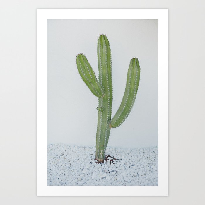 Cactus Life Art Print