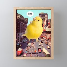 Canary in the City Framed Mini Art Print