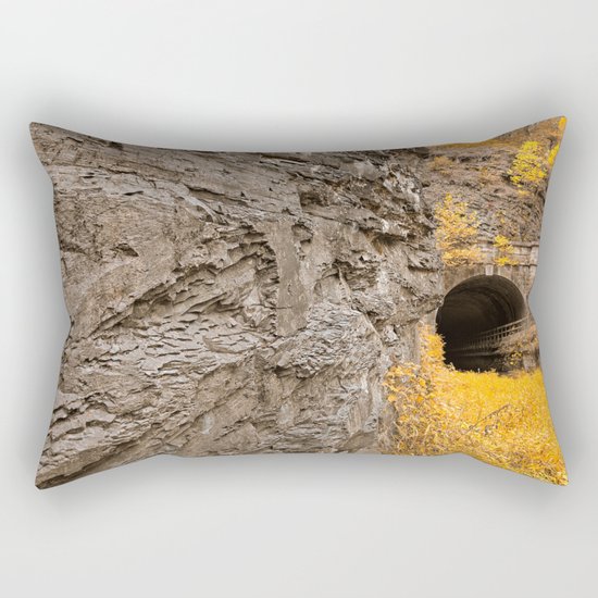 Paw Paw Tunnel - Golden Age Nostalgia Rectangular Pillow