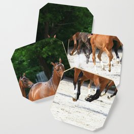 horses Coaster