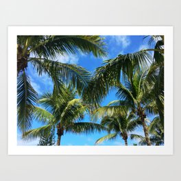 Palm Skies Art Print