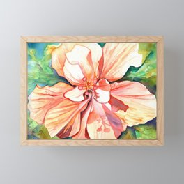 Double Peach Tropical Hibiscus Framed Mini Art Print