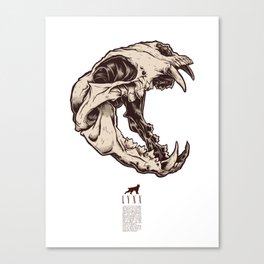 Lynx Skull Canvas Print