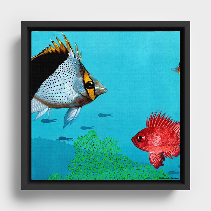 Butterfly & Bigeye fishes Framed Canvas