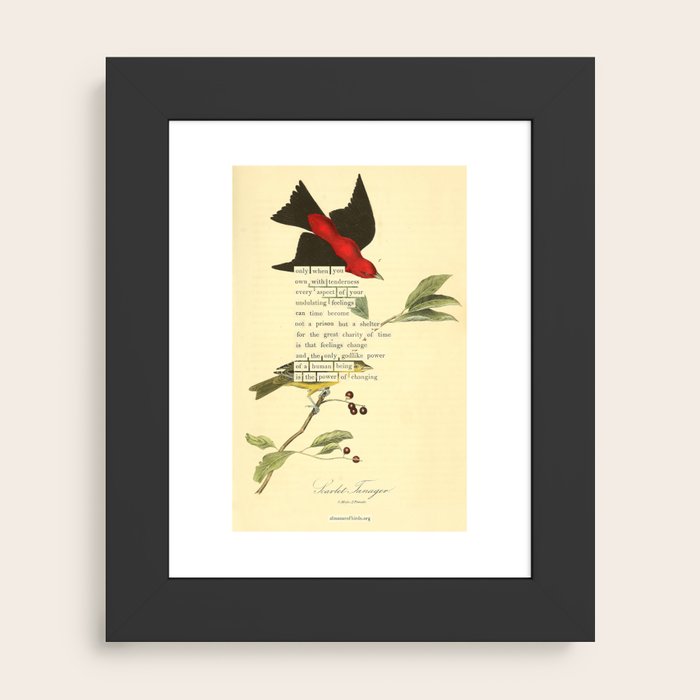 Framed Art Print