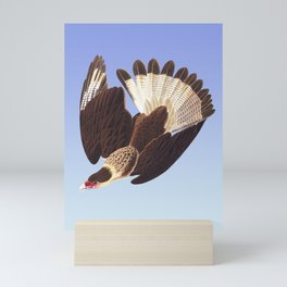 Brazilian Caracara Eagle by Audubon Mini Art Print