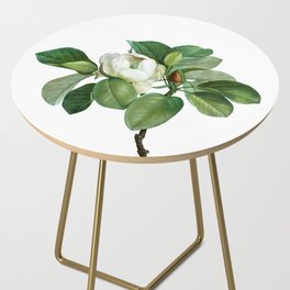 Vintage Magnolia Elegans Botanical Illustration on Pure White Side Table