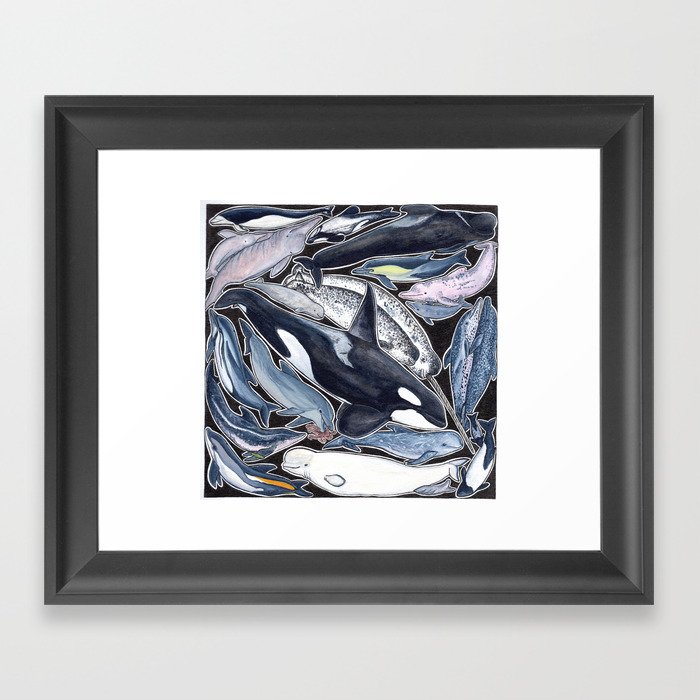 Dolphin, orca, beluga, narwhal & cie Framed Art Print