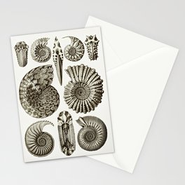 Ernst Haeckel Ammonitida Ammonite Stationery Card