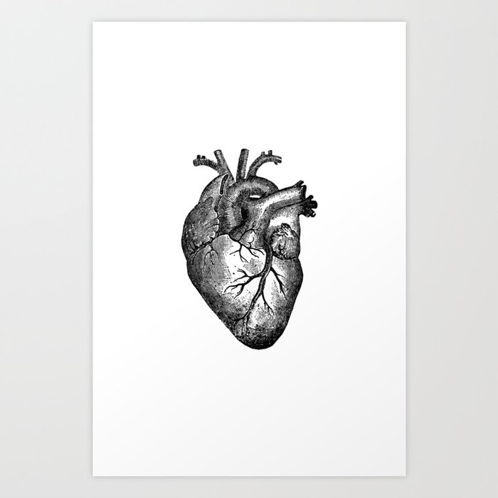 Vintage Heart Anatomy Art Print by StilleSkyggerArt | Society6