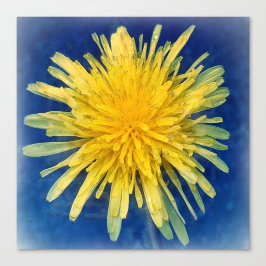 Dandelion Blues Canvas Print