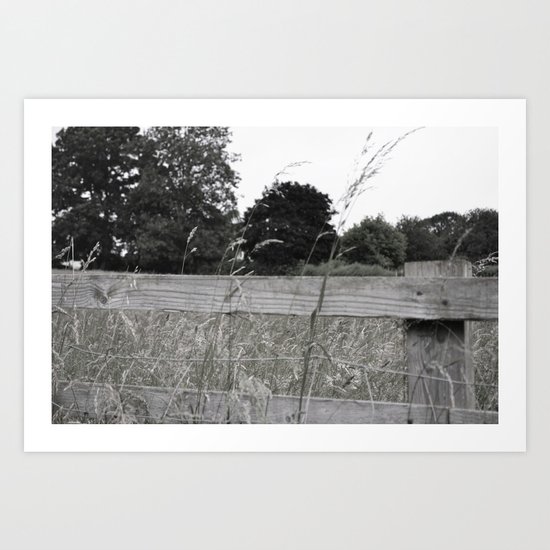 On The Fence Art Print