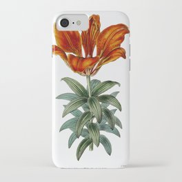 Blood red lily from Edwards’s Botanical Register (1829—1847) by Sydenham Edwards, John Lindley, and iPhone Case