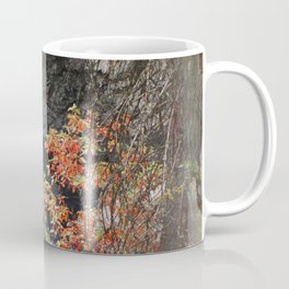 McCloud Falls Coffee Mug