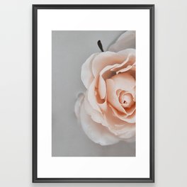 Milk Framed Art Print