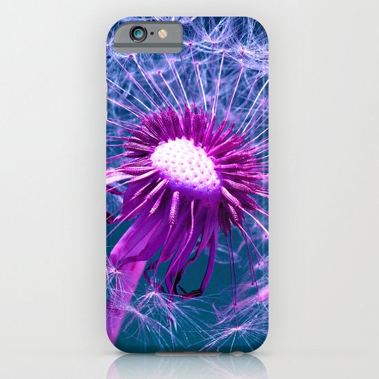 purple dandelion I iPhone & iPod Case