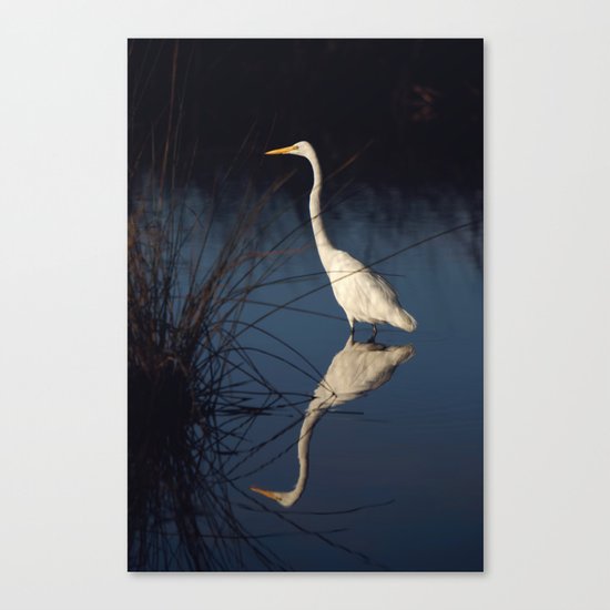 Morning Egret Reflection Canvas Print