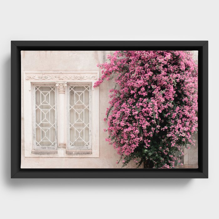 Pretty Window - Bougainvillea Flowers - Minimalist Portugal Travel Photography By Ingrid Beddoes Framed Canvas