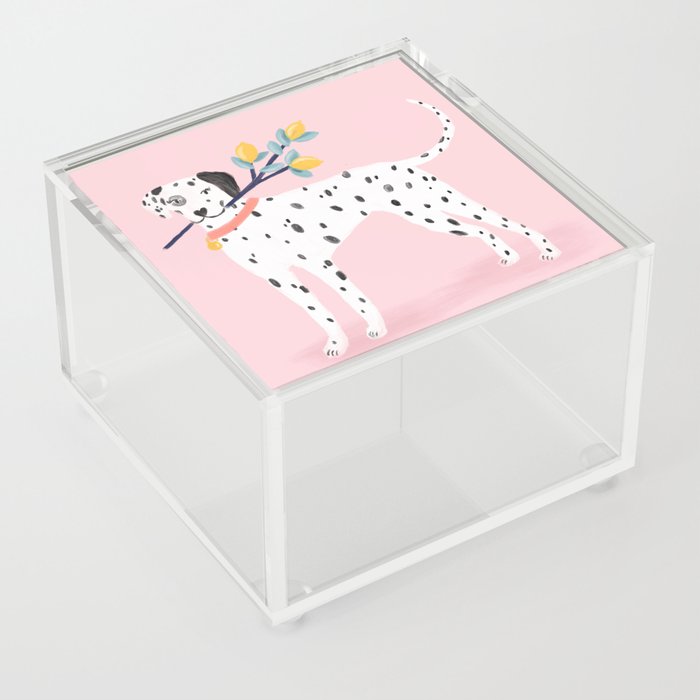 Dalmatian with Lemon Tree in Pink Acrylic Box