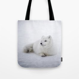 White snow arctic fox Tote Bag
