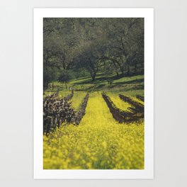 Mustard Field 2 Art Print