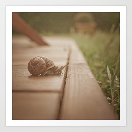 Snail Garden 2 Art Print