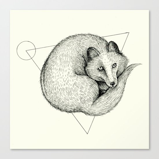 'Wildlife Analysis V' Canvas Print