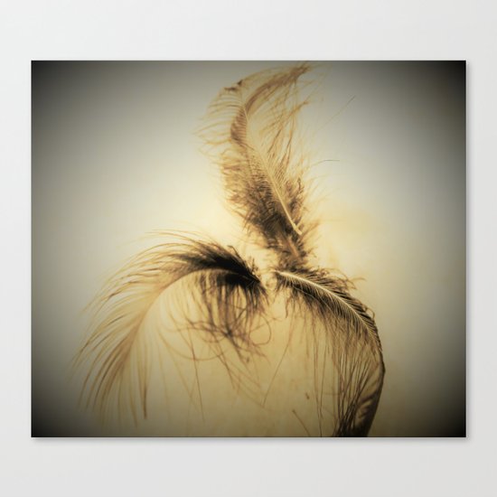 fly away Canvas Print