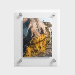 Fishers Net | Marine Life in Greece, Europe | Travel Photography in South of Europe Floating Acrylic Print