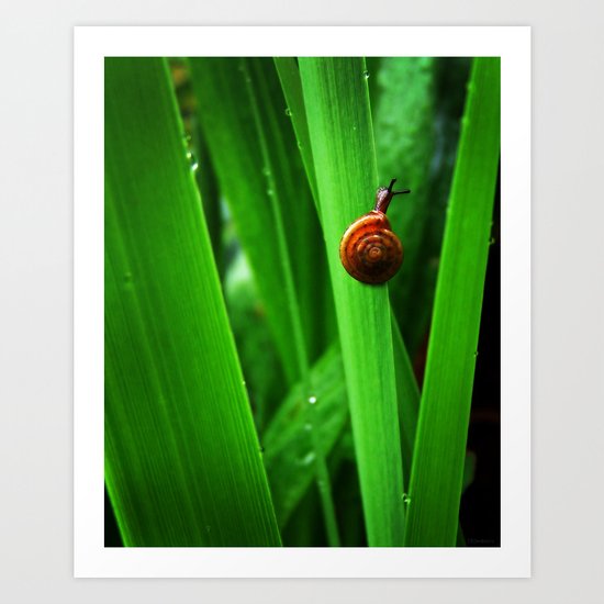 Daring Snail Art Print