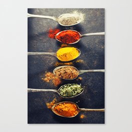 Colorful spices in metal spoons Canvas Print