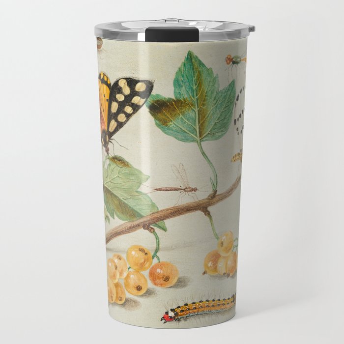 Study of Butterfly and Insects 17th Century Travel Mug