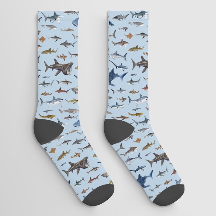SHARKS poster-light blue Socks