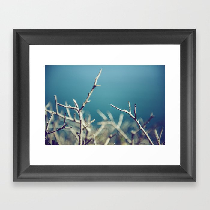 Blue Winter Thorns Framed Art Print