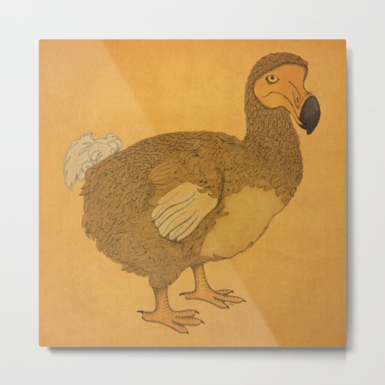 Dodo Metal Print